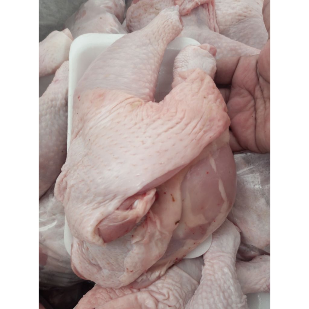 AYAM BAGIAN PAHA UTUH (PAHA ATAS & PAHA BAWAH)