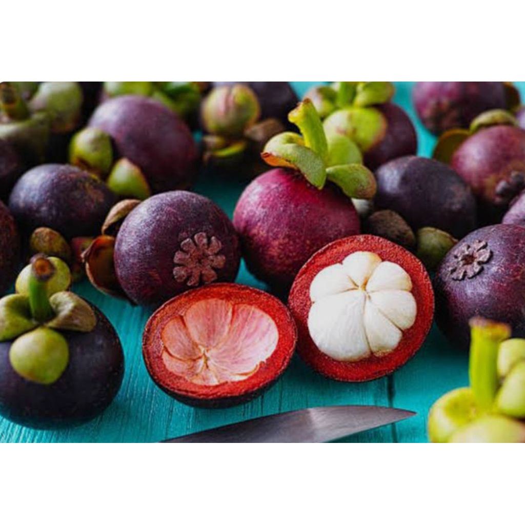 buah manggis/ 1kg