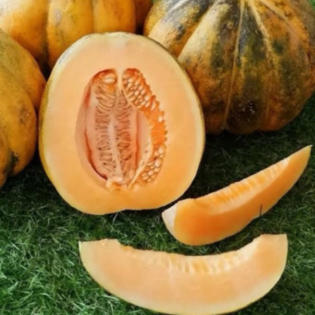 Buah Blewah Manis/ Buah Blewah Kretek Manis/ Buah Blewah Murah/Buah Musiman/Buah Blewah Madu Buah Ga