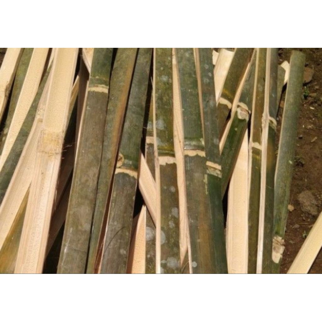 bambu petung layangan panjang 60cm