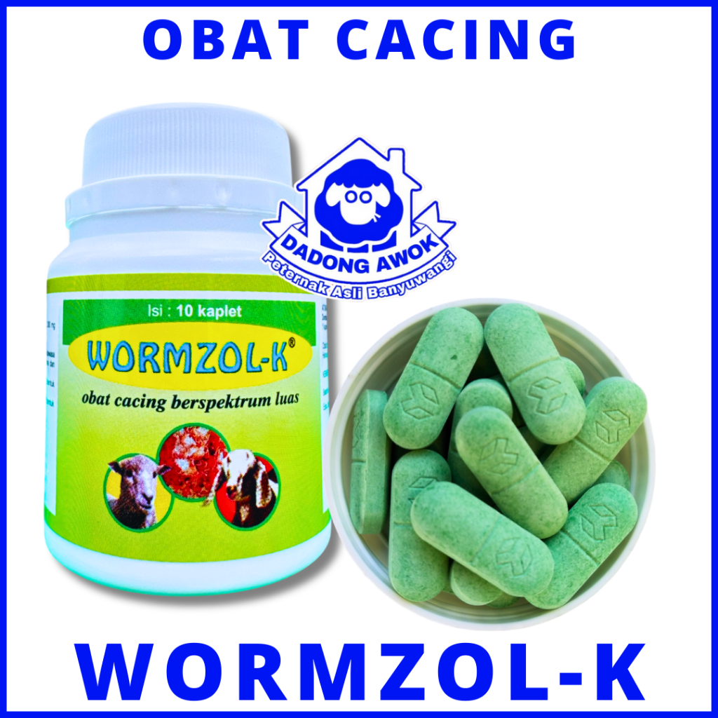 OBAT CACING KAMBING DOMBA - WORMZOL K 10 - WORMZOL K untuk Kambing - obat cacing Domba Sapi Medion