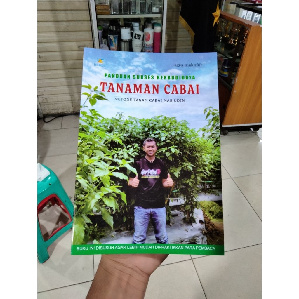 panduan sukses berbudidaya tanaman cabai metode tanam cabai mas udin