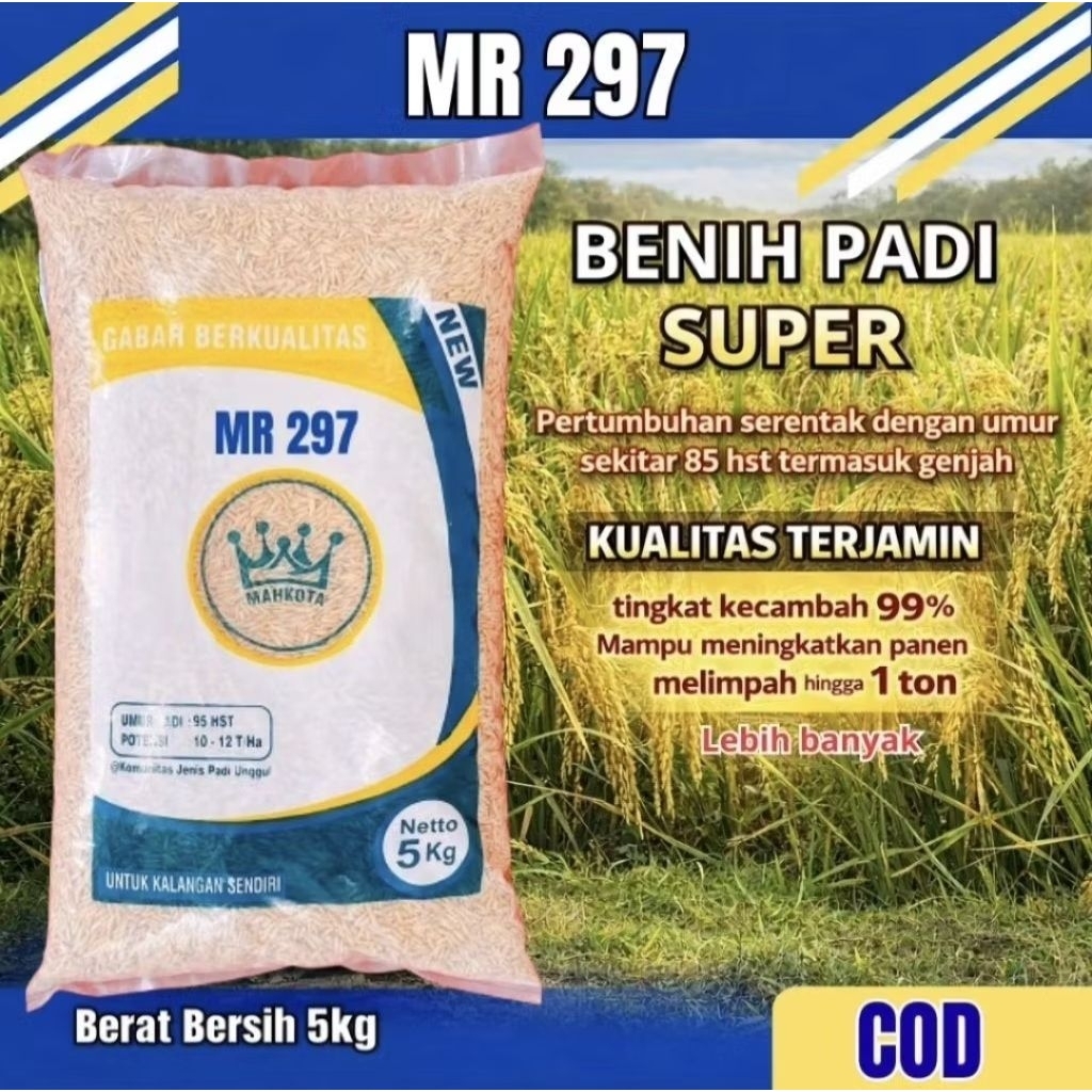 Padi MR-297 Mahkota 5 Kg MR 297 MR297