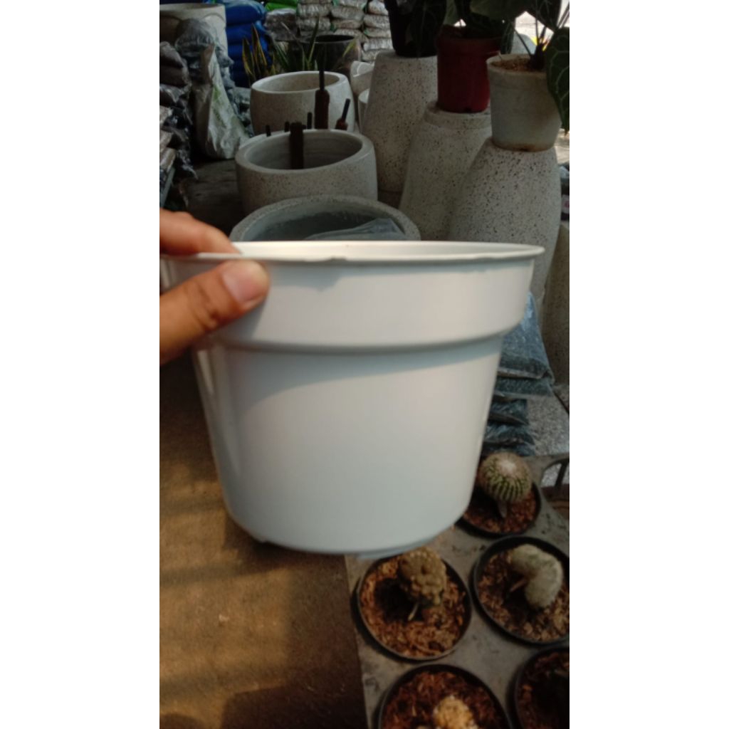 pot putih ukuran 20 cm