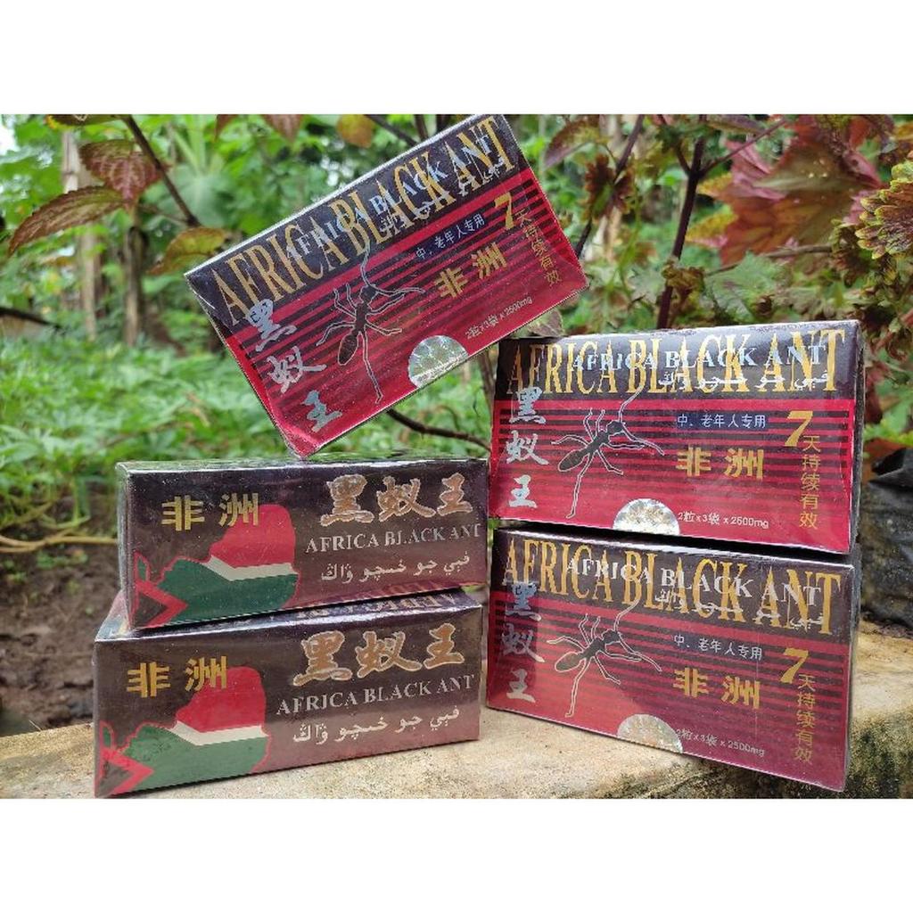 COD semut afrika cap BLACKant