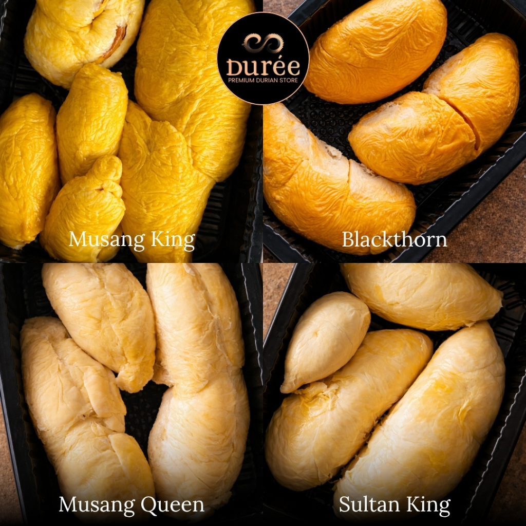 Durian Premium Selection Pack | Musang King Blackthorn Sultan King Musang Queen