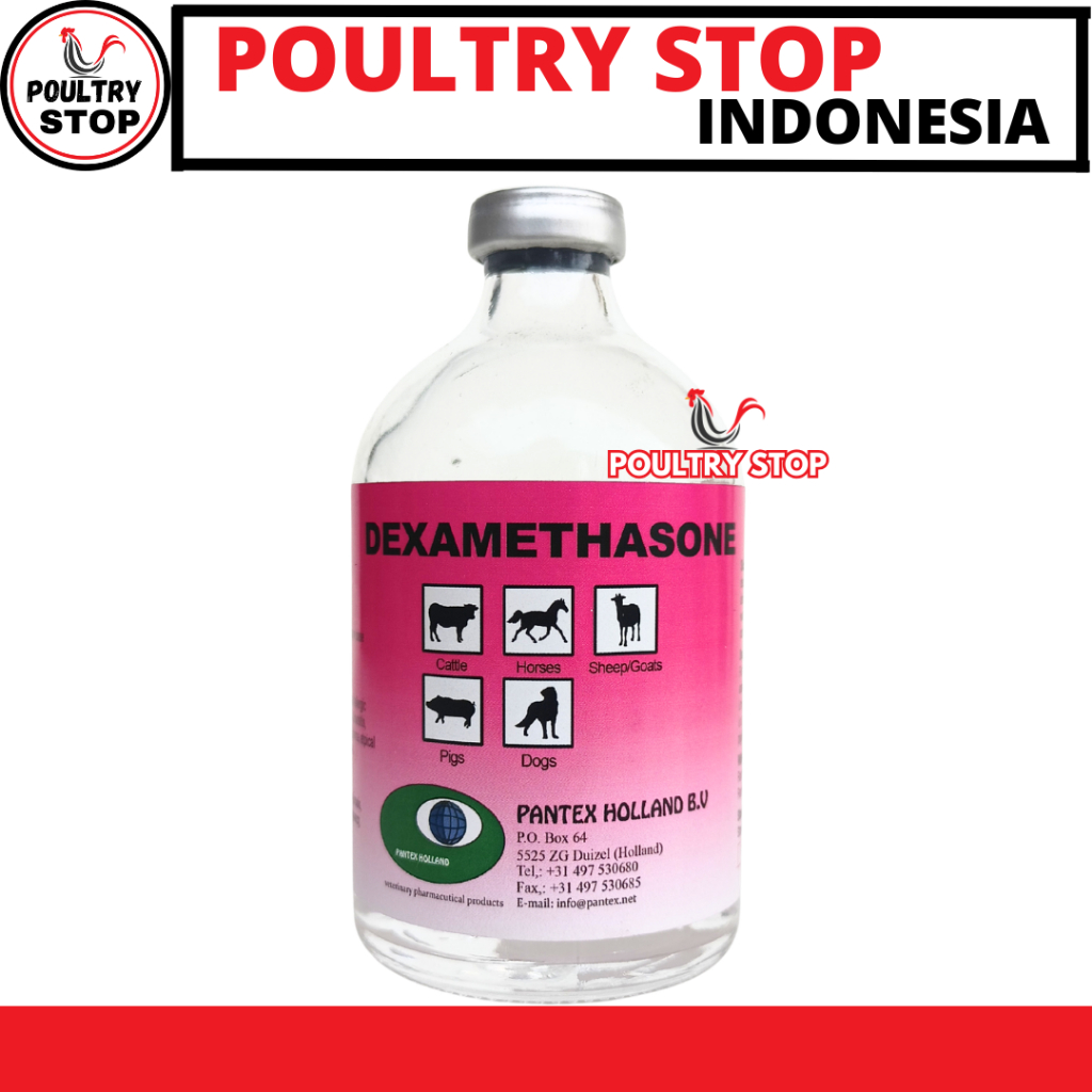 PANTEX DEXAMETHASONE 100 ML - Obat Hewan Anti Radang Anti Inflamasi Ternak Sapi Kambing Anjing