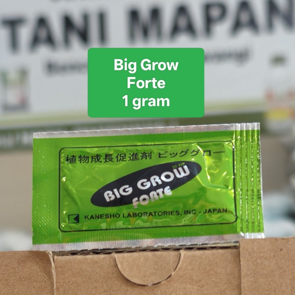 BIG GROW FORTE 1 GRAM (EXP 2031)