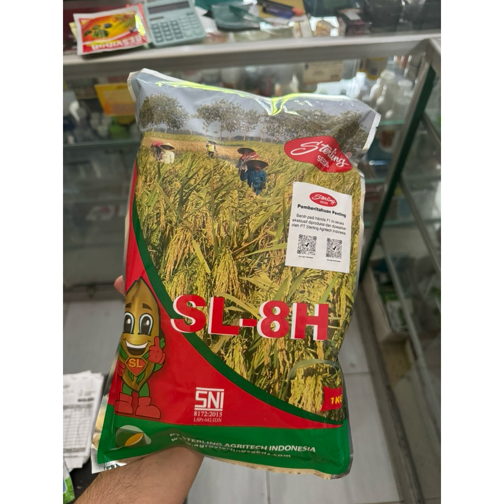 Benih padi Hibrida SL-8H Sterling umur genjah 80HST