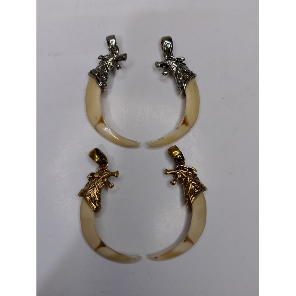 Liontin kalung Taring kidang/kijang asli