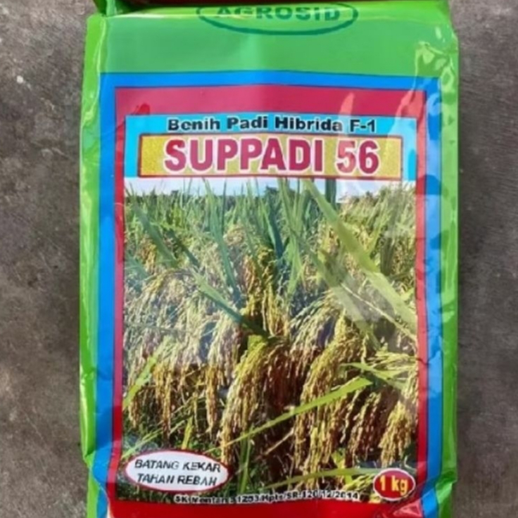 Benih Padi Hibrida Suppadi 56 1Kg Original