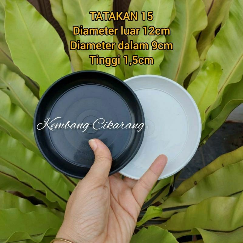 (12pc) LUSINAN TATAKAN 15 (12cm) : tatakan alas pot 15 alas pot bunga cantik murah grosir
