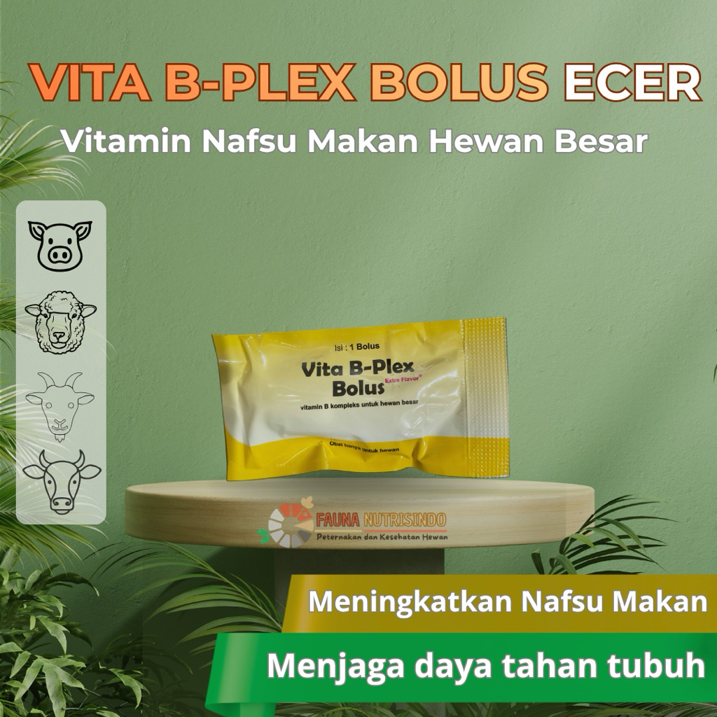 VITAMIN NAFSU MAKAN SAPI BABI KAMBING Vitamin B Kompleks Bolus- Nafsu Makan Sapi Kambing Babi