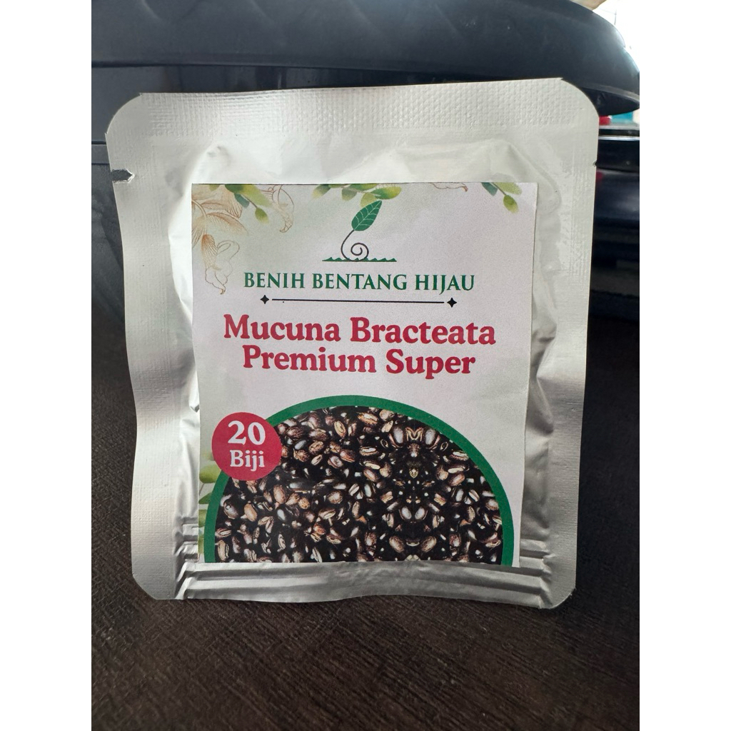 1 Pack isi 20 Biji Benih Kacang Penutup Tanah Untuk Tanaman Sawit (Mucuna Bracteata Premium Super)