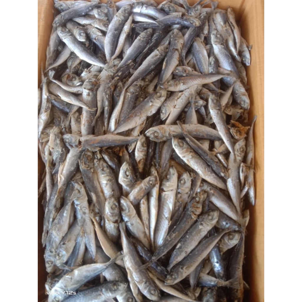 ikan asin rebus layang khas Lampung