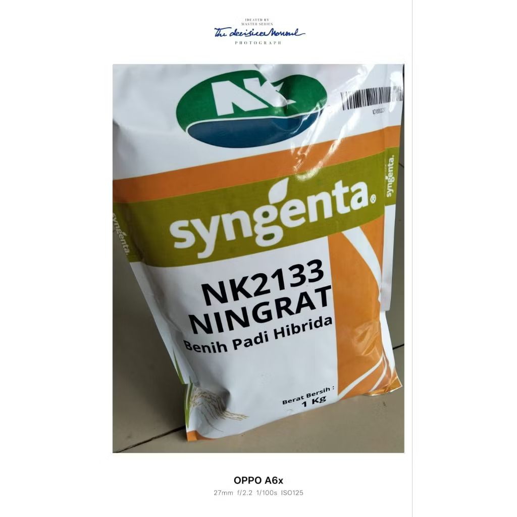 Bibit Benih Padi Hibrida Ningrat NK2133 SUPER Berkualitas