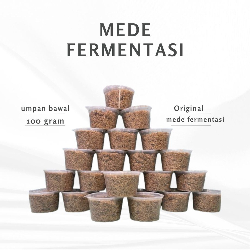 Umpan Bawal Biji Jarak Fermentasi Original