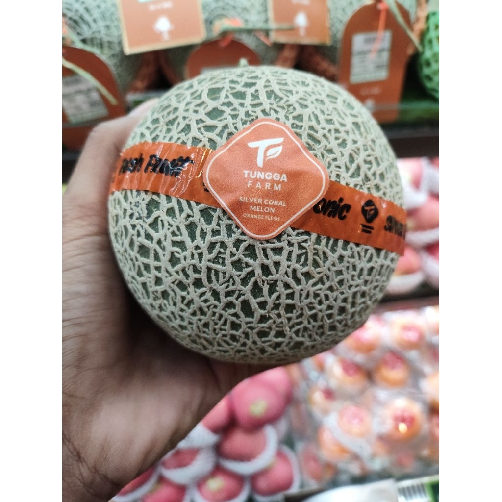 buah melon anba jepang melon import jepang 1 pcs