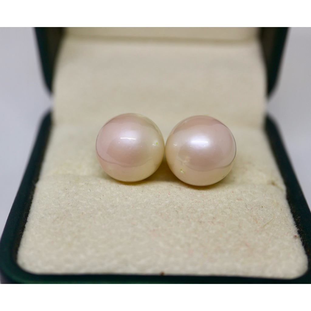 GIWANG MUTIARA LAUT WHITE PINK ASLI BERSERTIFIKAT GRADE A
