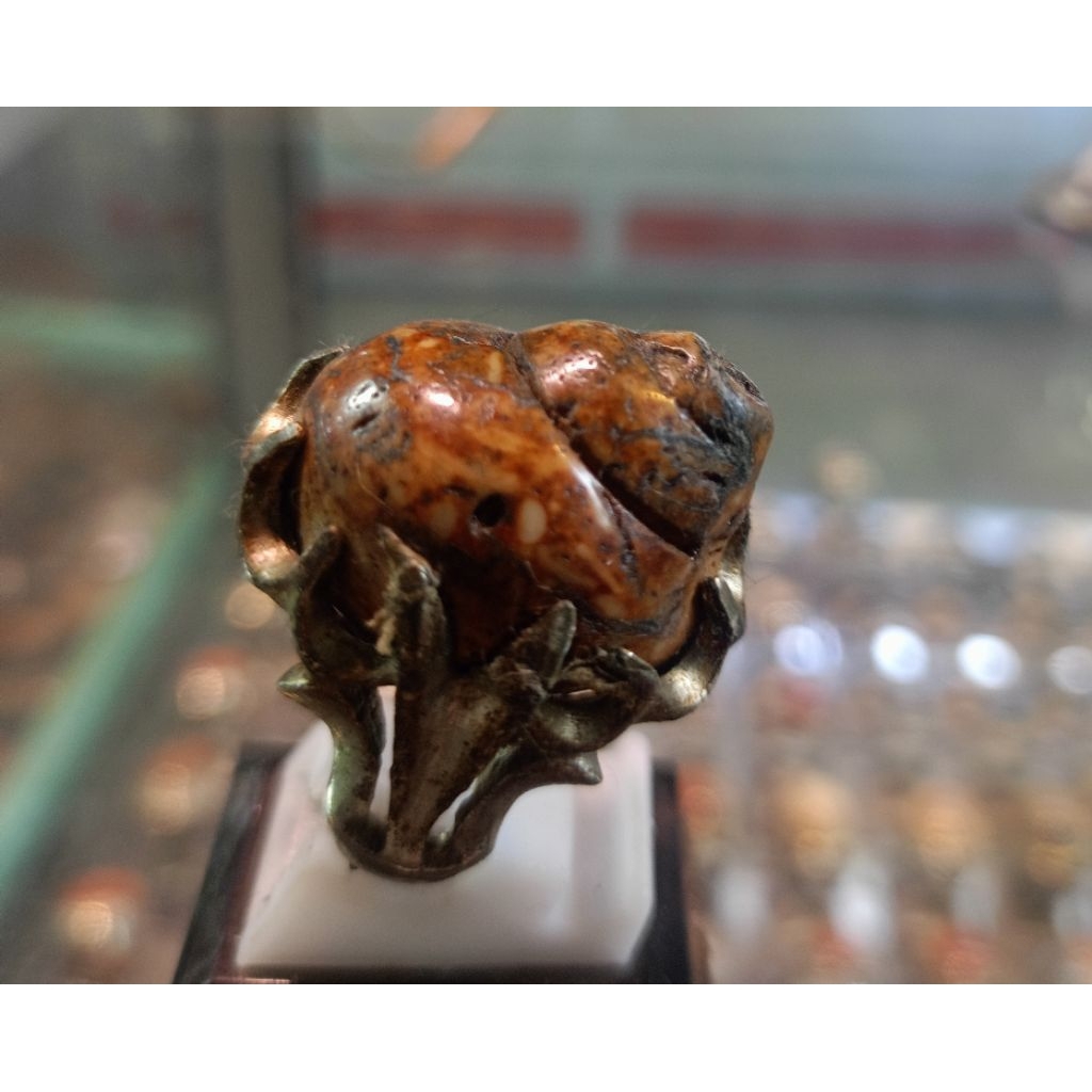Cincin Fosil keong/kool buntet(Natural)
