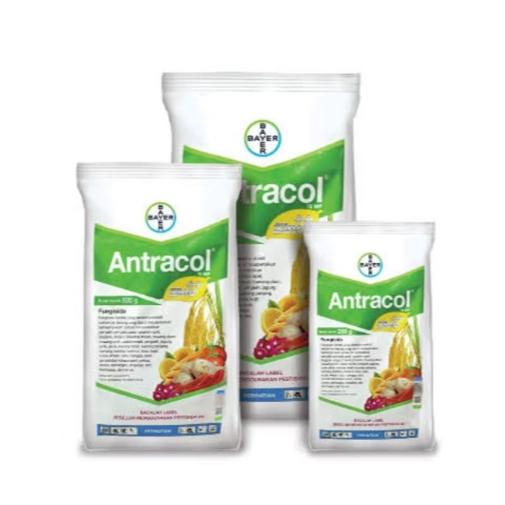 Fungisida Antracol 250gr