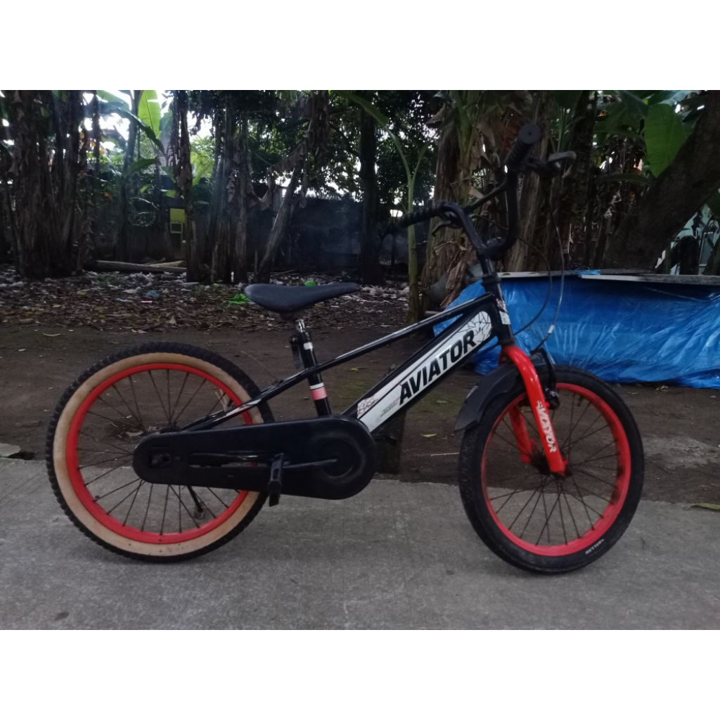 SEPEDA ANAK UKURAN 18 BEKAS