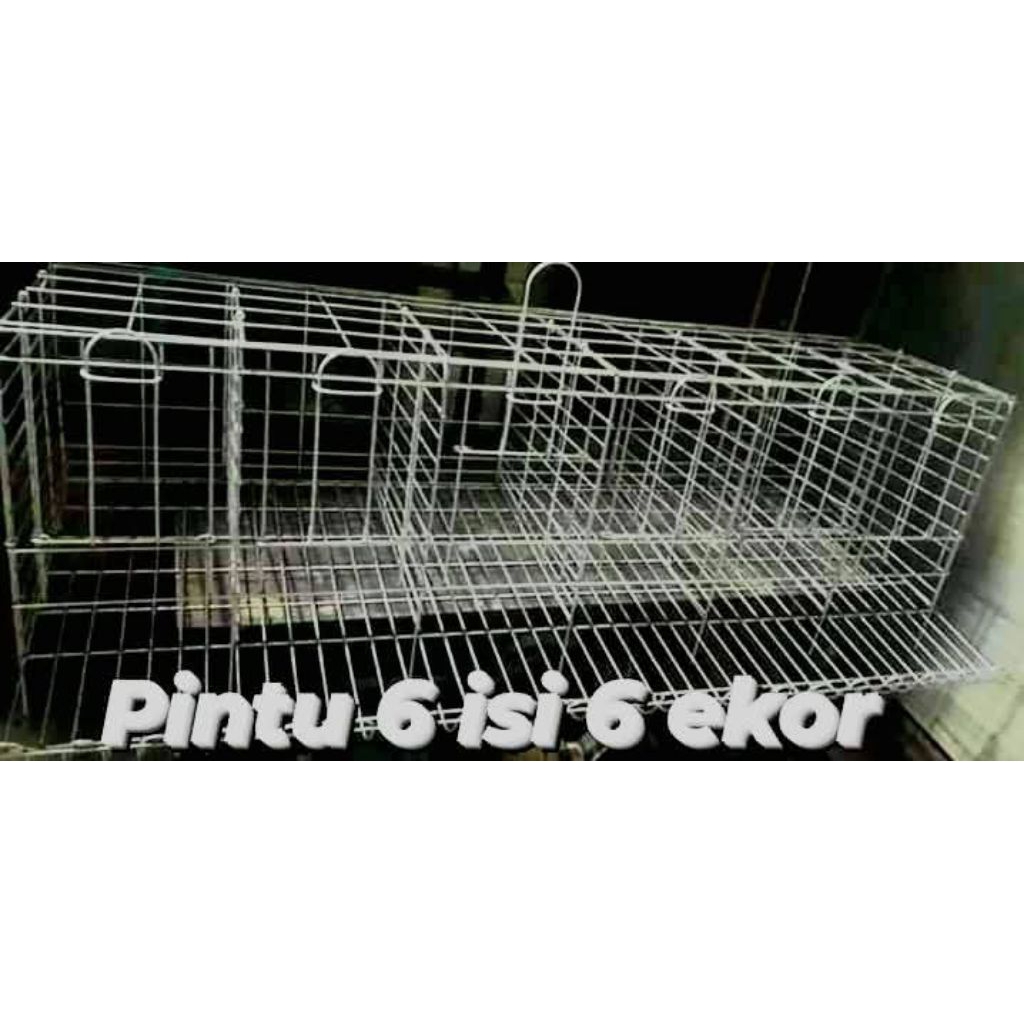 Kandang ayam petelur Pintu 6 Isi 6 kawat anti karat
