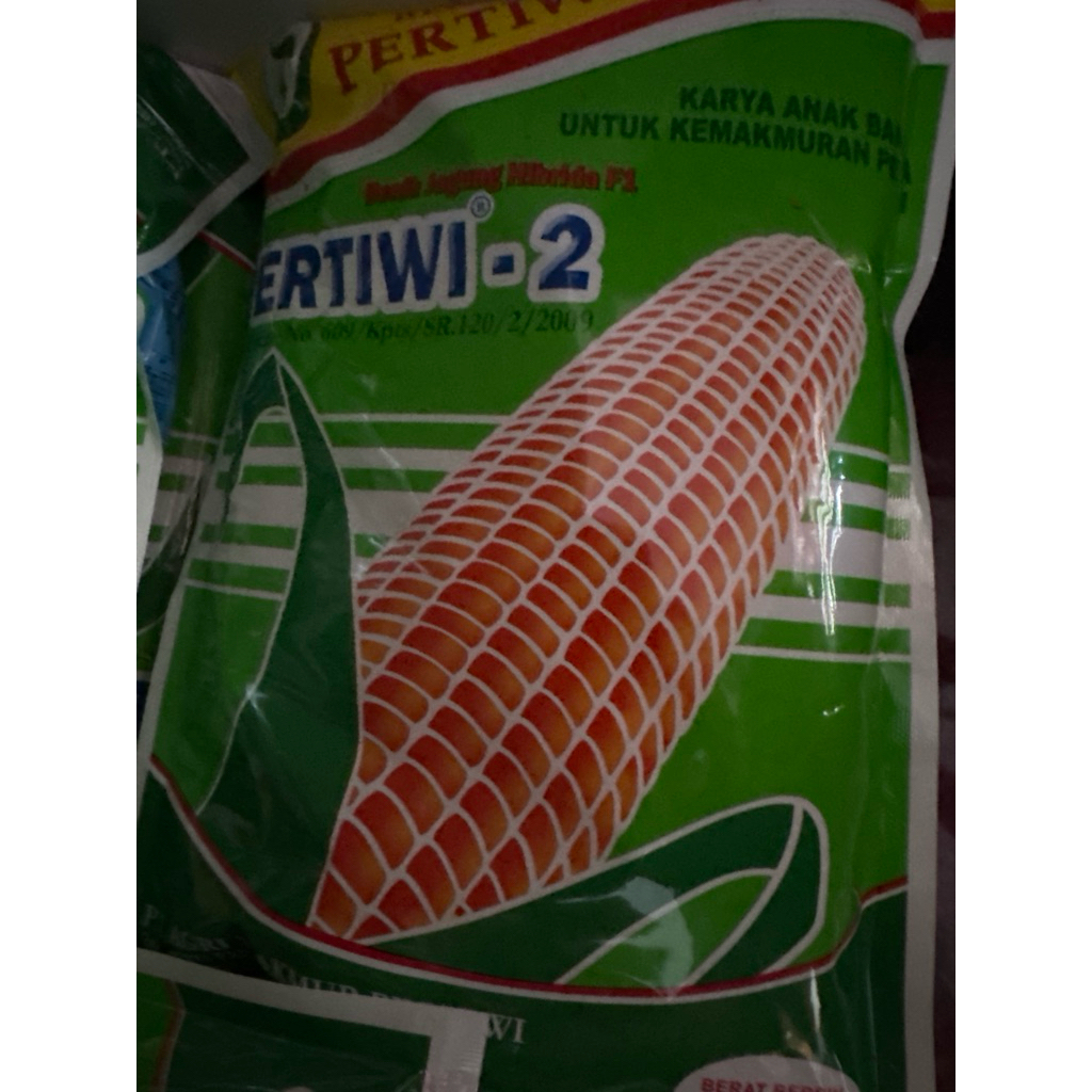 Bibit Jagung Hibrida Pertiwi 2