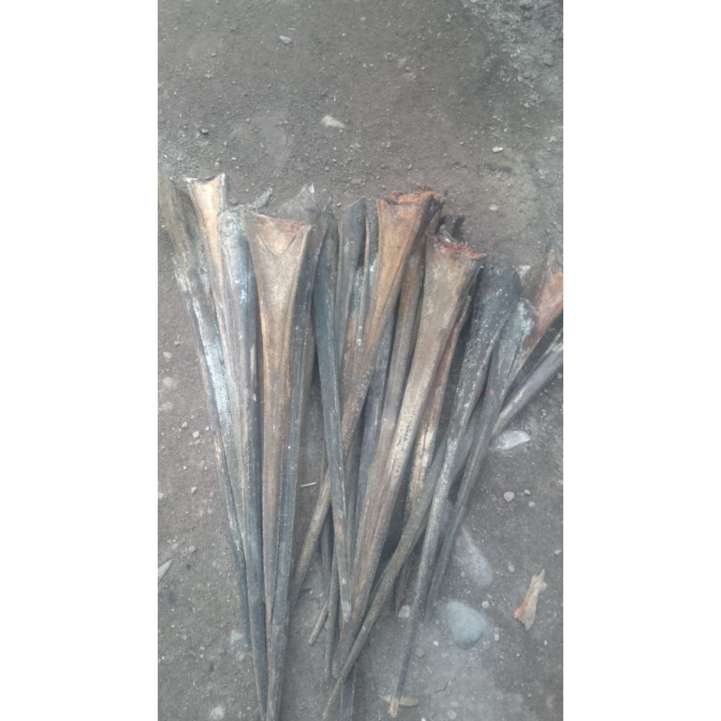 Bahan Moncong Ikan Marlin / Moncong Marlin Asli
