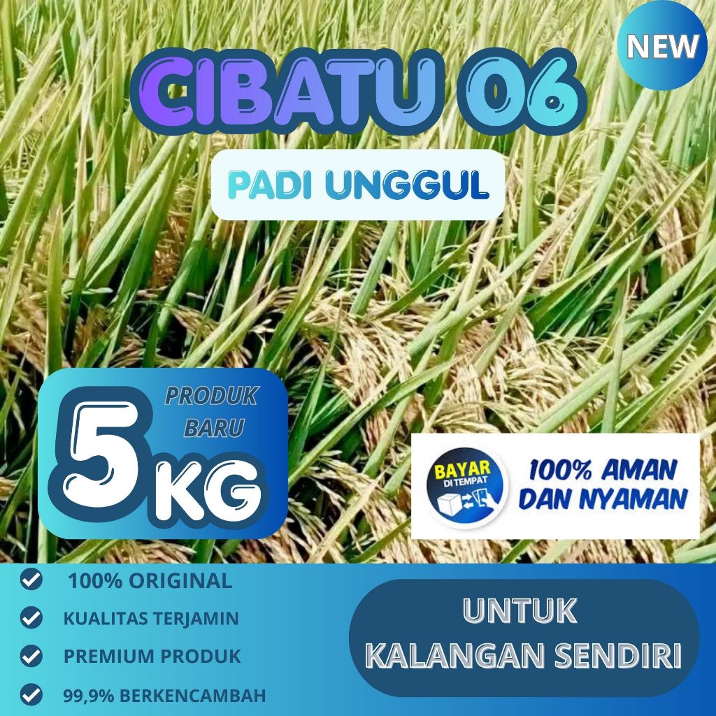 Benih bibit padi cibatu 06 original kemasan 5kg