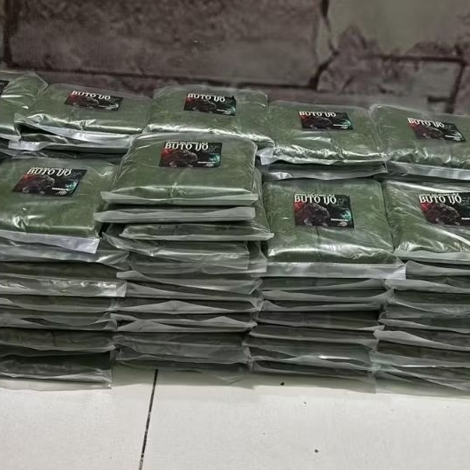 grosir umpan Galatama Lele  Buto ijo
