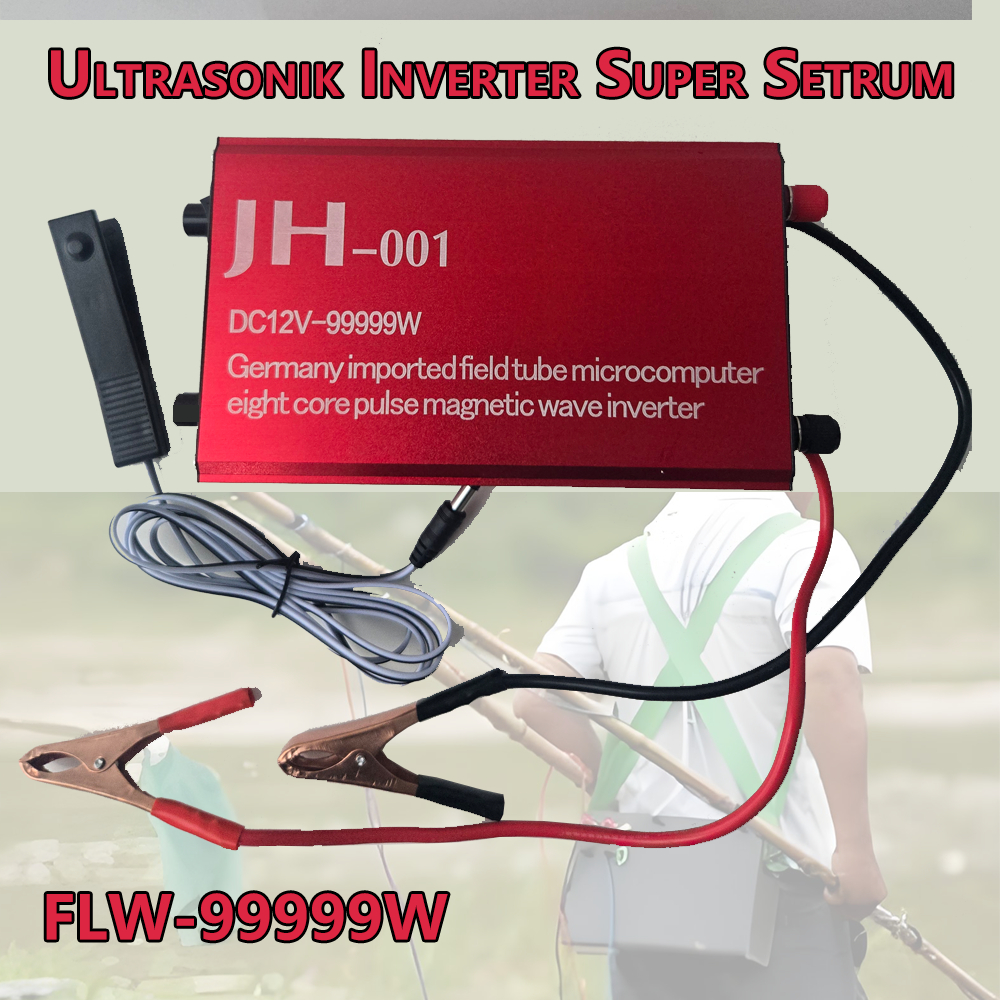 FLW 12V 99999W Inverter Ultrasonik high-power susan Mixing Converter Cantik 12 mosfet setrum pD Elek