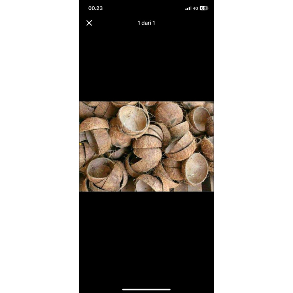 Batok Kelapa Kering Perkilo