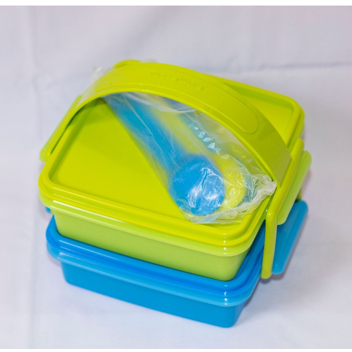 Tupperware Carry All Set