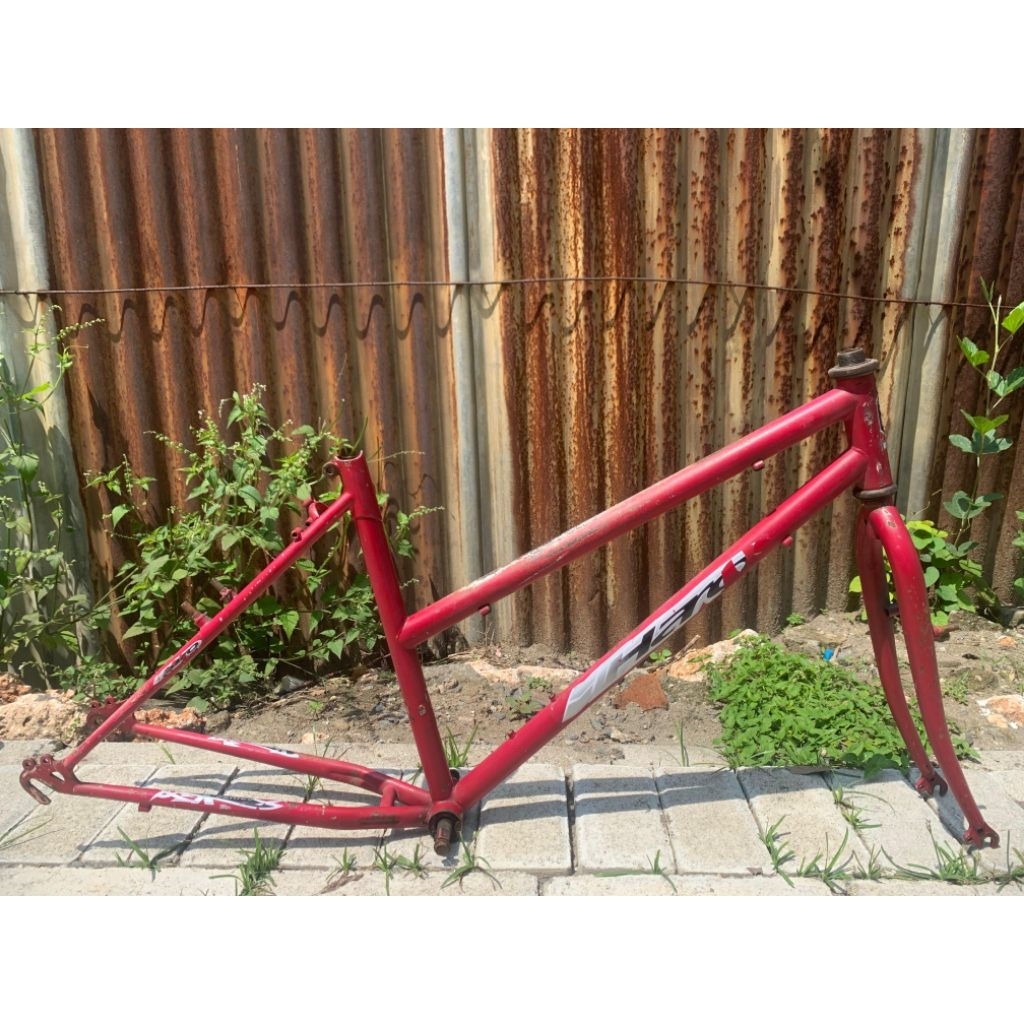frame federal lady stray cat size 17 roda 26 SN FC frame commuter bike