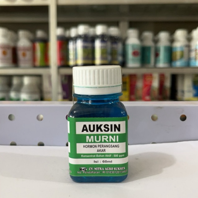 AUKSIN 60 ML