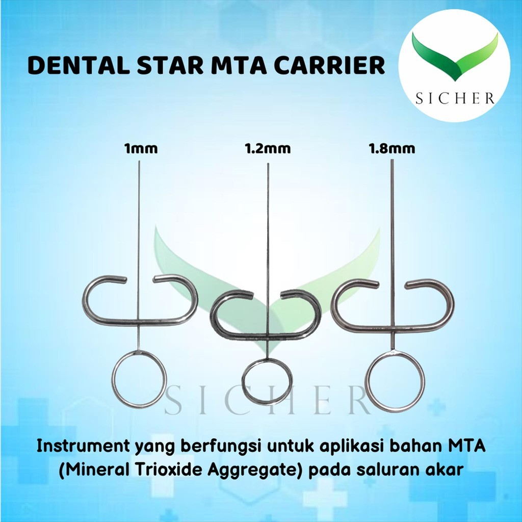 STAR MTA Carrier Instrument - Stainless Steel - Alat Aplikasi Mineral Trioxide Aggregrate Gigi