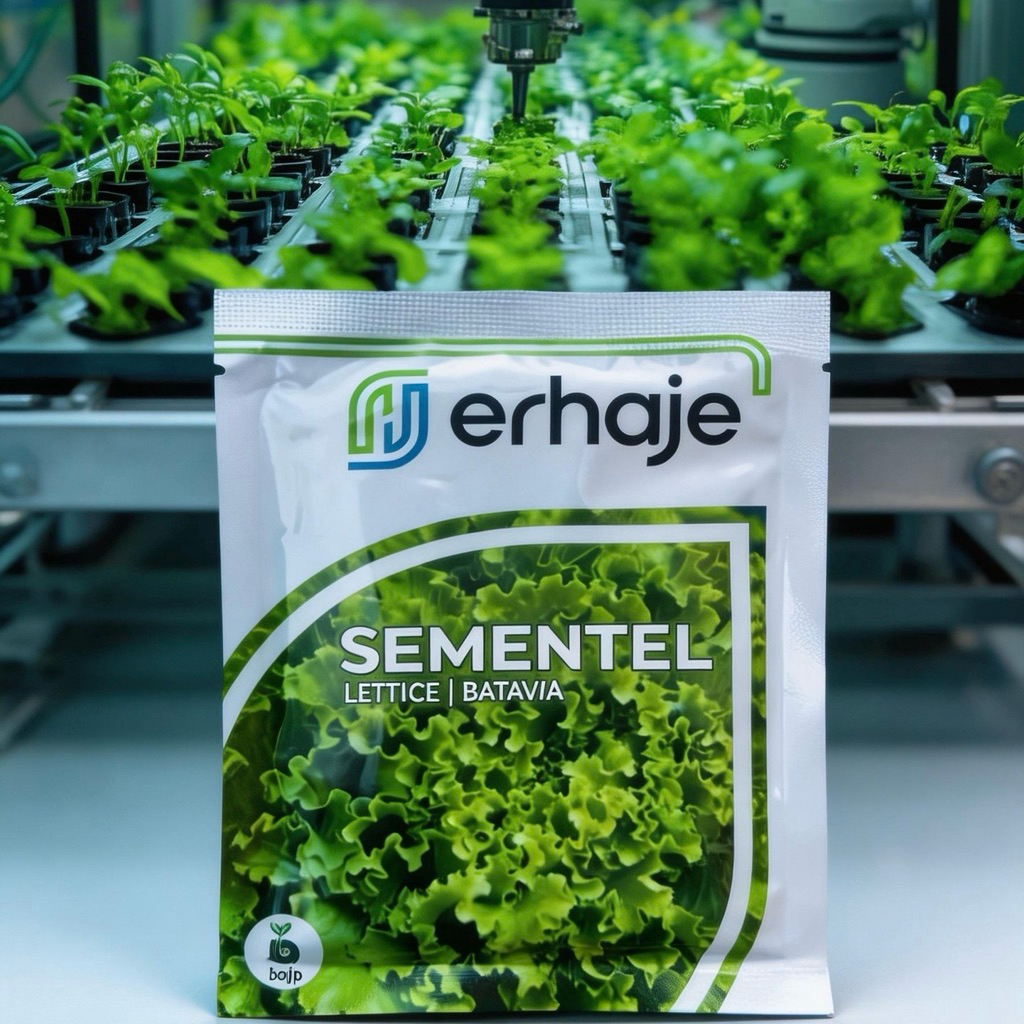 Benih Selada SEMENTEL Bejo Seed 1000 Pills import