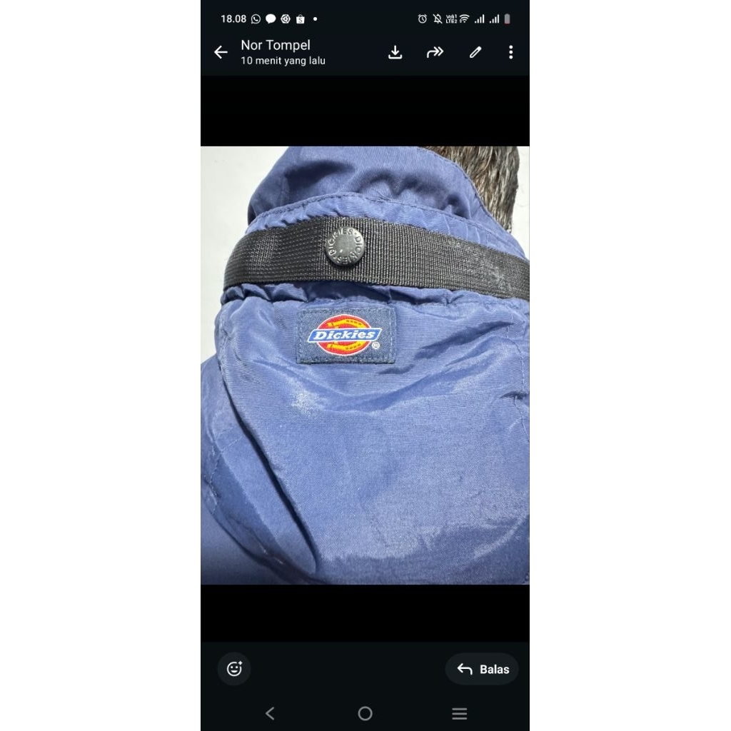 JAKET DICKIES ECWCS