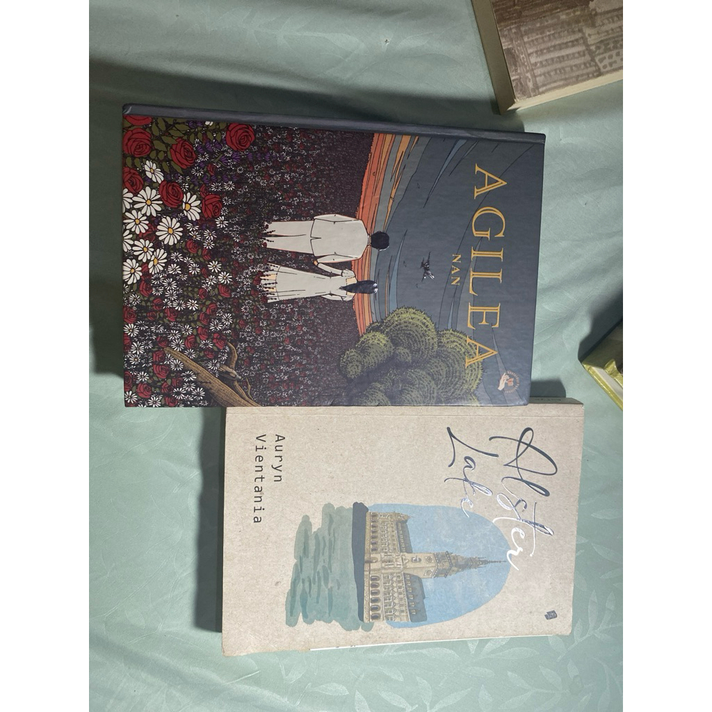PRELOVED NOVEL ALSTER LAKE & AGILEA (ADA MINUSNYA)