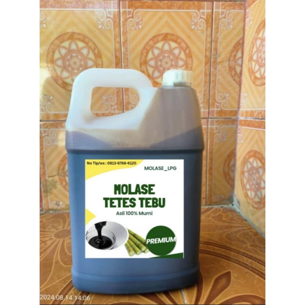 Molase/Tetes tebu/Asli