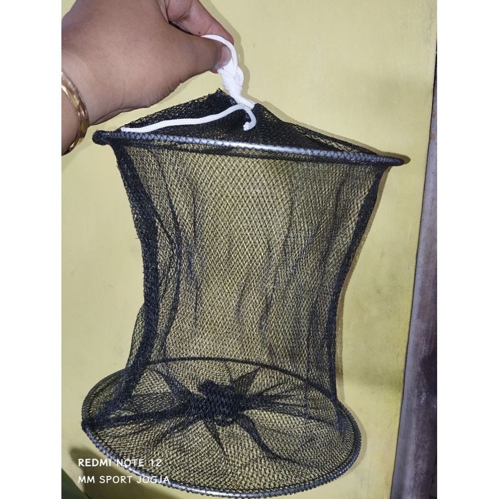 KORANG TEMPAT IKAN KECIL