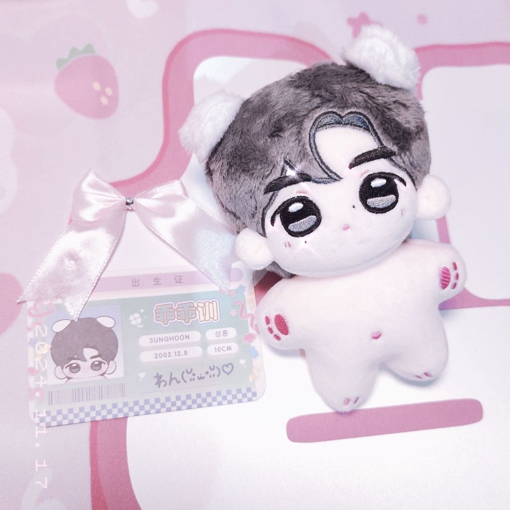 Plushie Doll Sunghoon Enhypen Guaiguaixun dollmaker preloved doll kpop enhypen