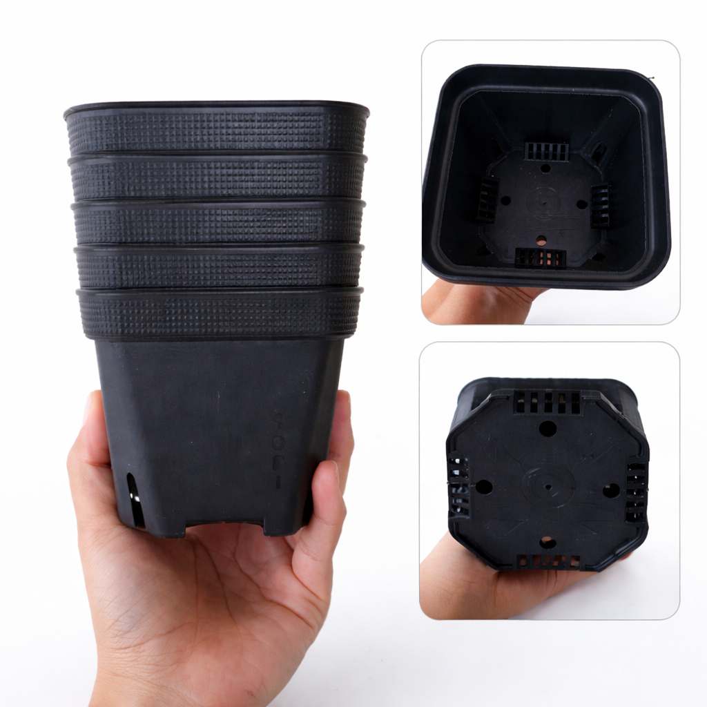 Pot Sofi L Warna Hitam Kotak