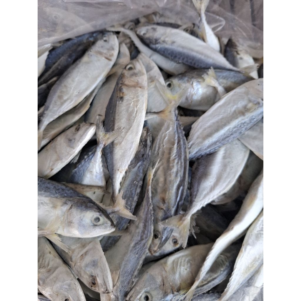IKAN ASIN KEMBUNG/ IKAN ASIN KEMAREN ASIN PREMIUM