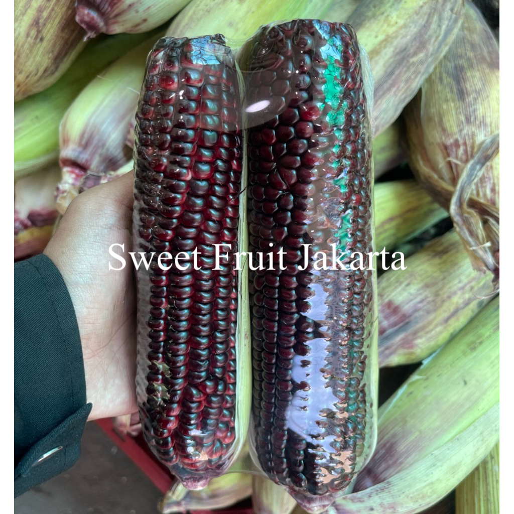Jagung Ketan Hitam Nusantara Fresh 1kg / Jagung Ketan Hitam Super