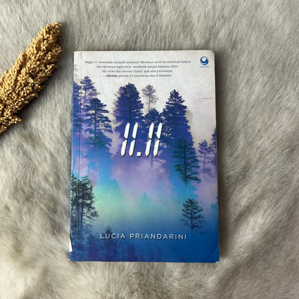 Novel 11.11 by Lucia Priandarini