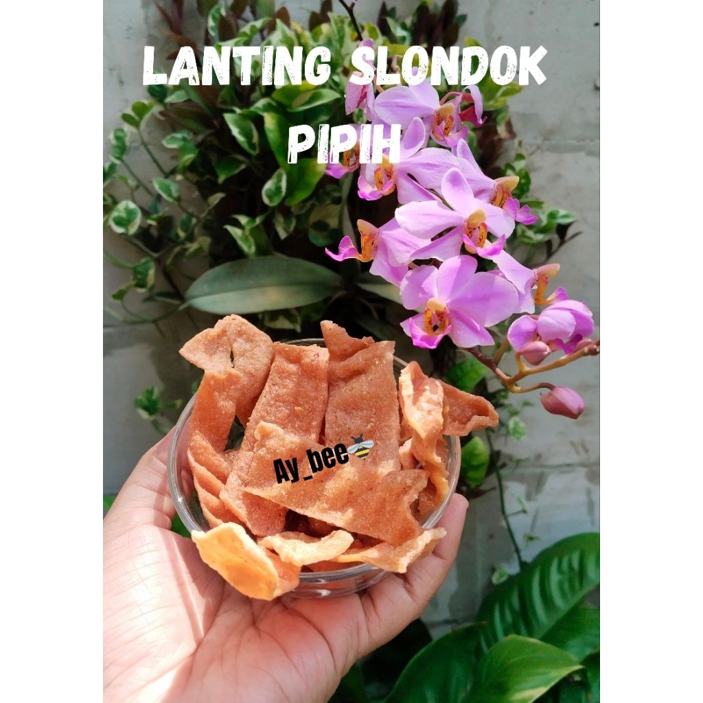 Lanting slondok pipih mentah pet 500gram