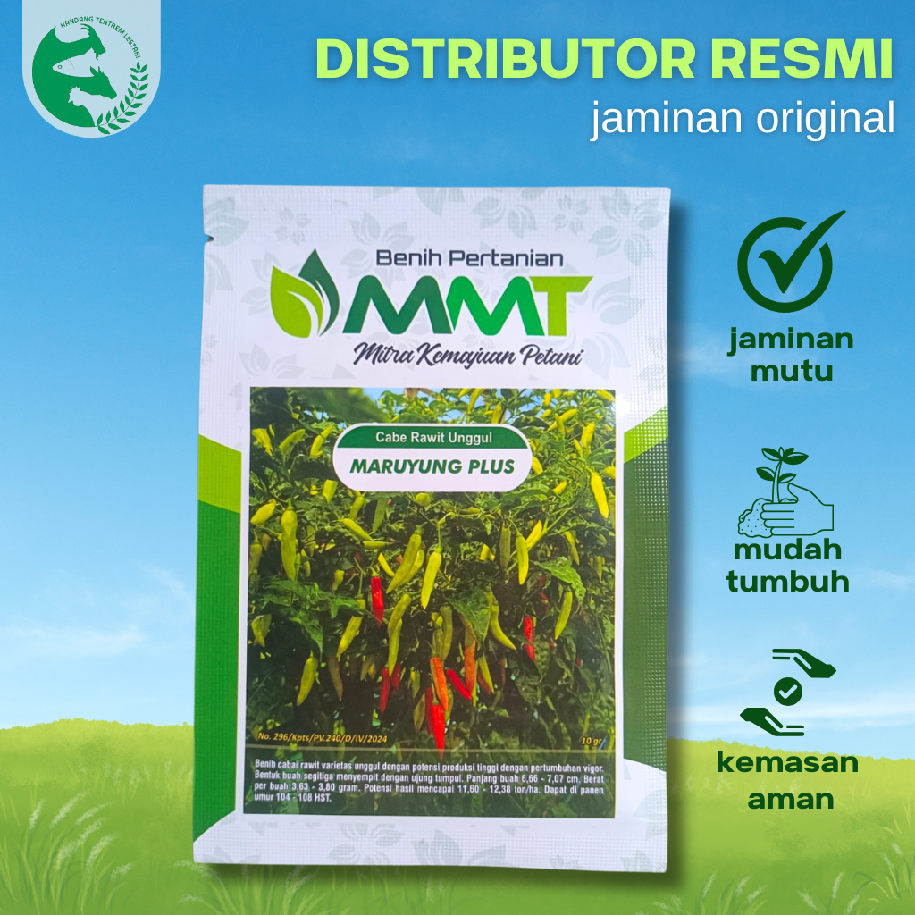 Benih Cabe Rawit Maruyung Plus10 Gram 2000 an biji Cabai Unggul Cap MMT Tahan Penyakit Buah Lebat