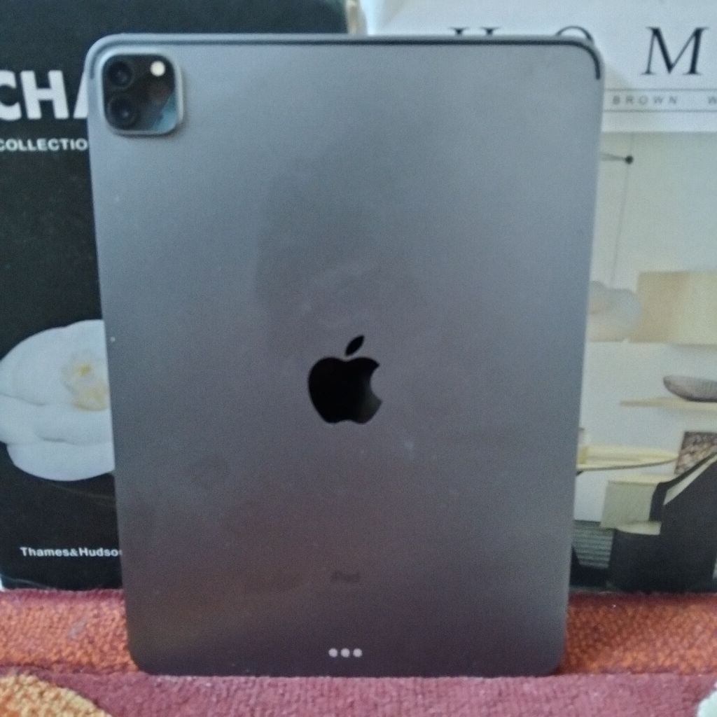 iPad pro 11 inch wifi 256 (gen 2 2020) inter  Mulus